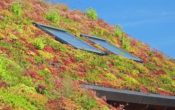 Sockbridge living roof systems